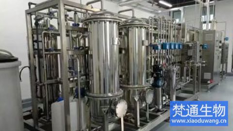 潔凈車間冷庫里的霉菌