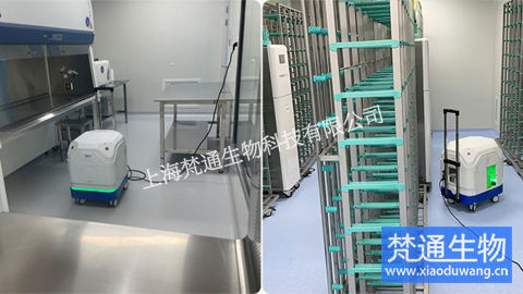 某干細胞實驗室終末消毒